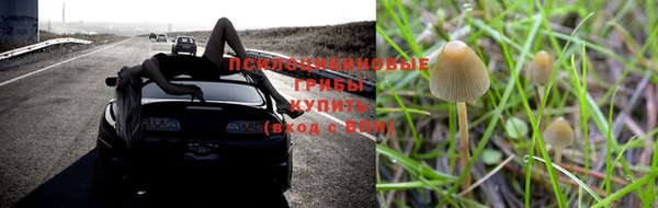 индика Балабаново