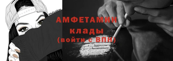 индика Балабаново
