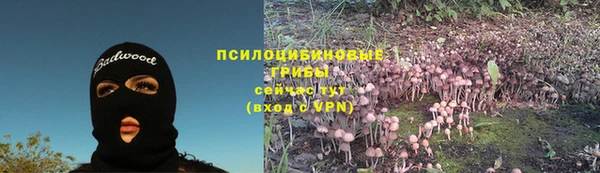 индика Балабаново