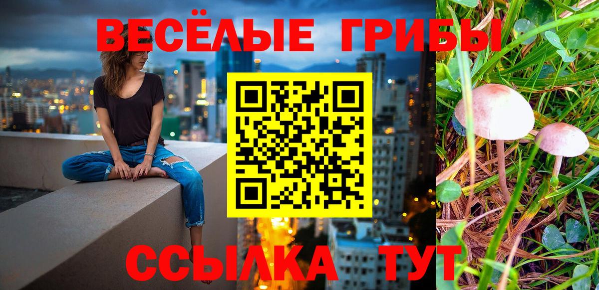 Галлюциногенные грибы прущие грибы Ессентуки